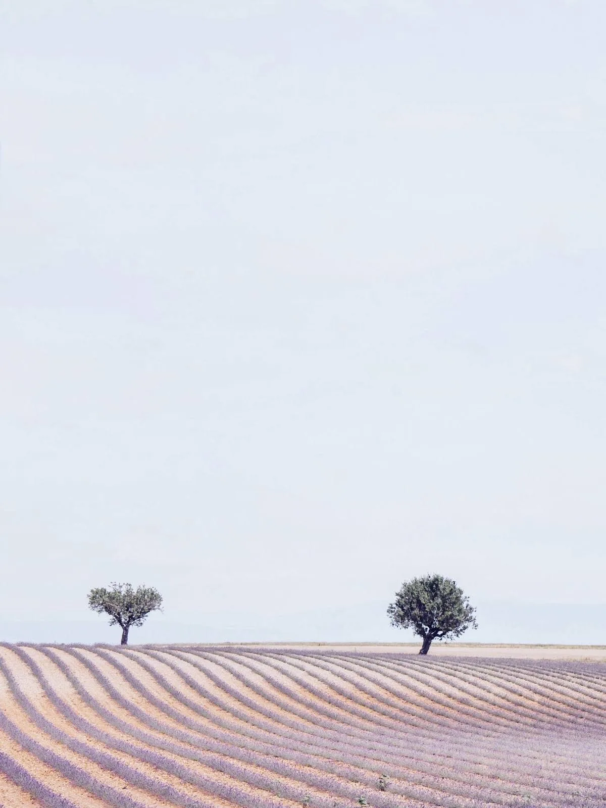 shopping-q-tbn-ANd9GcT97N_EkB-JqlQUoDt-oBA1qGfcaV26ObQfVU5M8wLLrukGedivQs8no9k6oc42J-5pJhNjg0EfAkEoQIHjH8HocZlUW7N38A-usqp-CAE