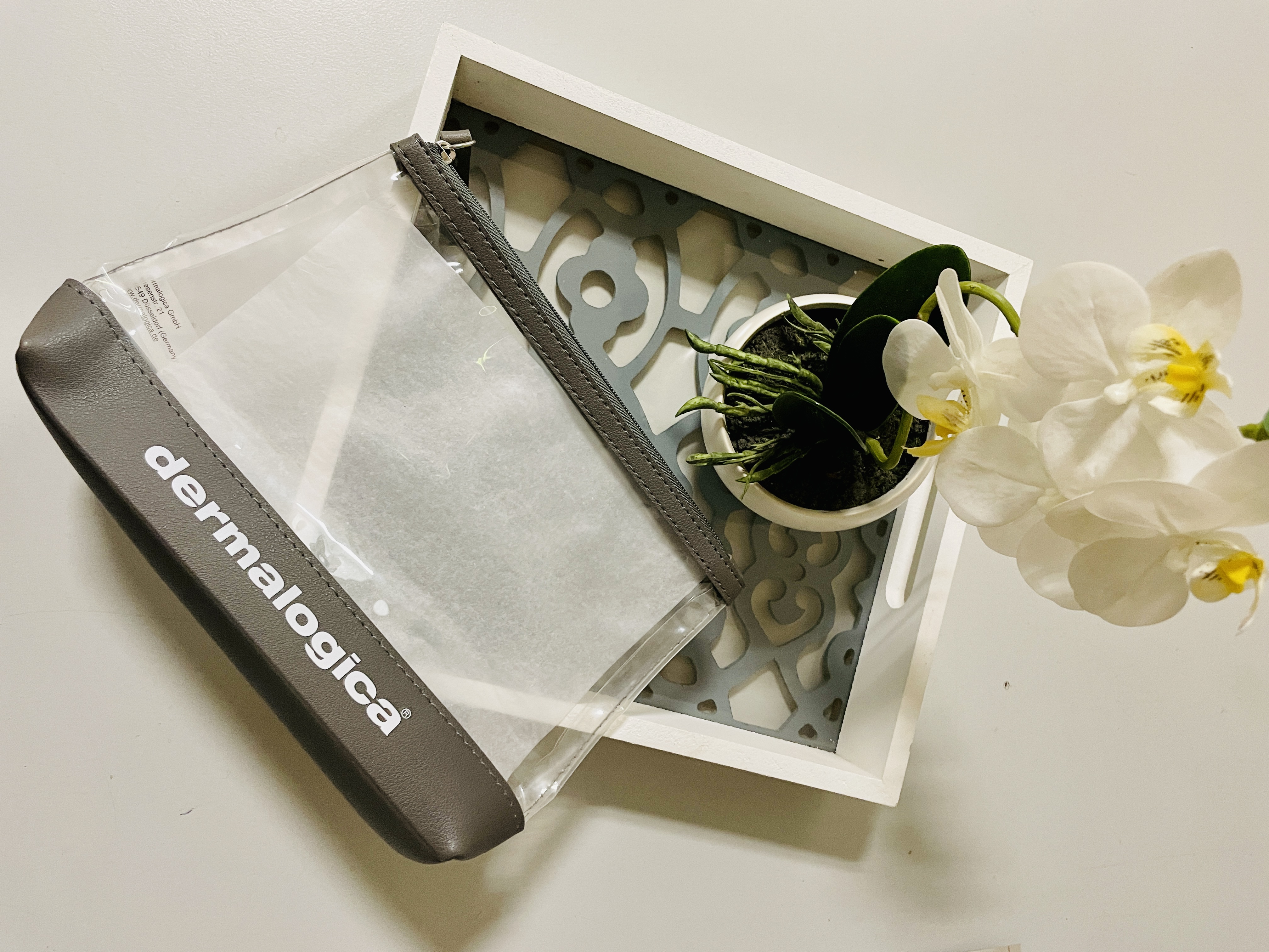 IMG_2316 Bolsa de viaje Dermalogica transparente