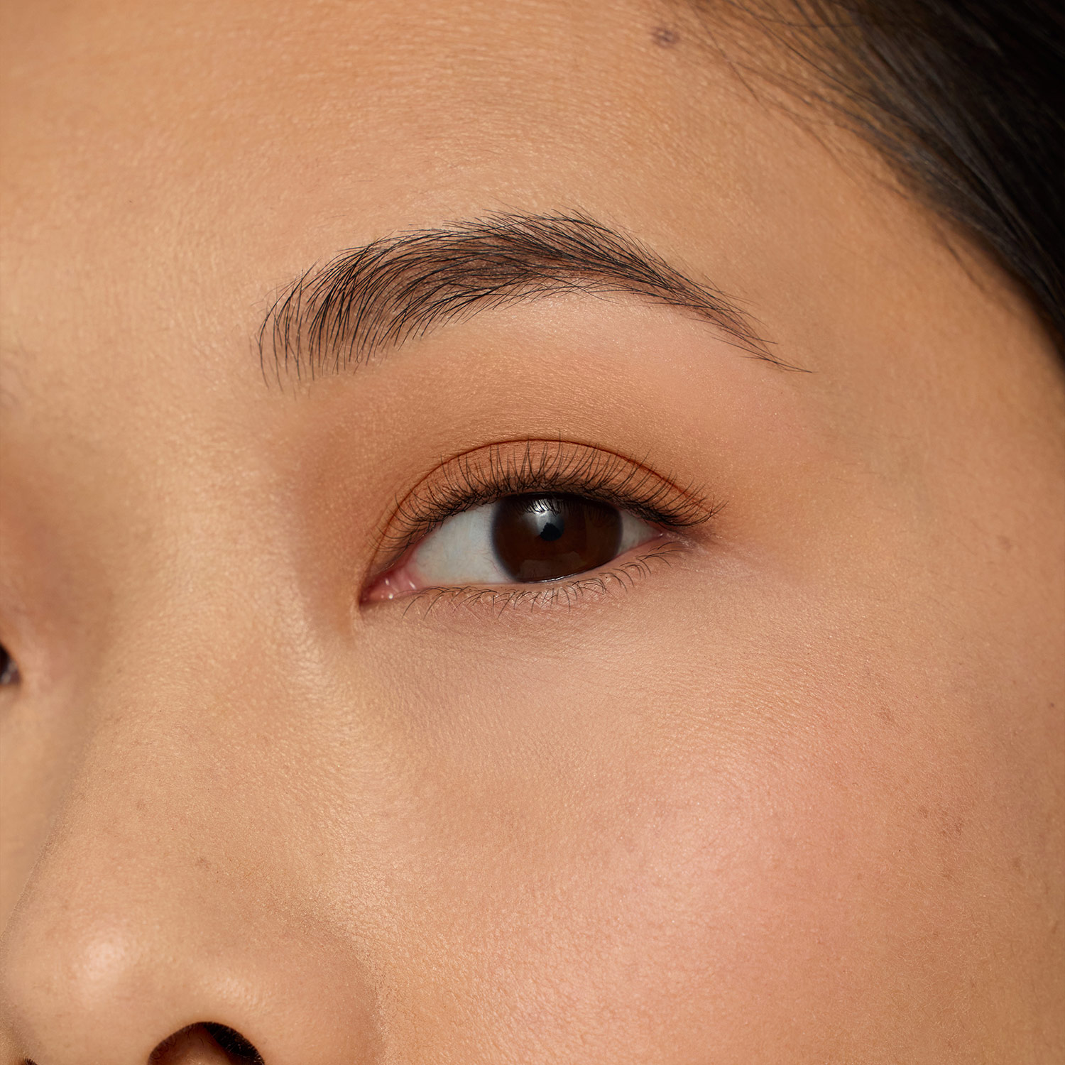 14602-jane-iredale-ColorLuxe-Eye-Shadow-Sticks-Saddle-4