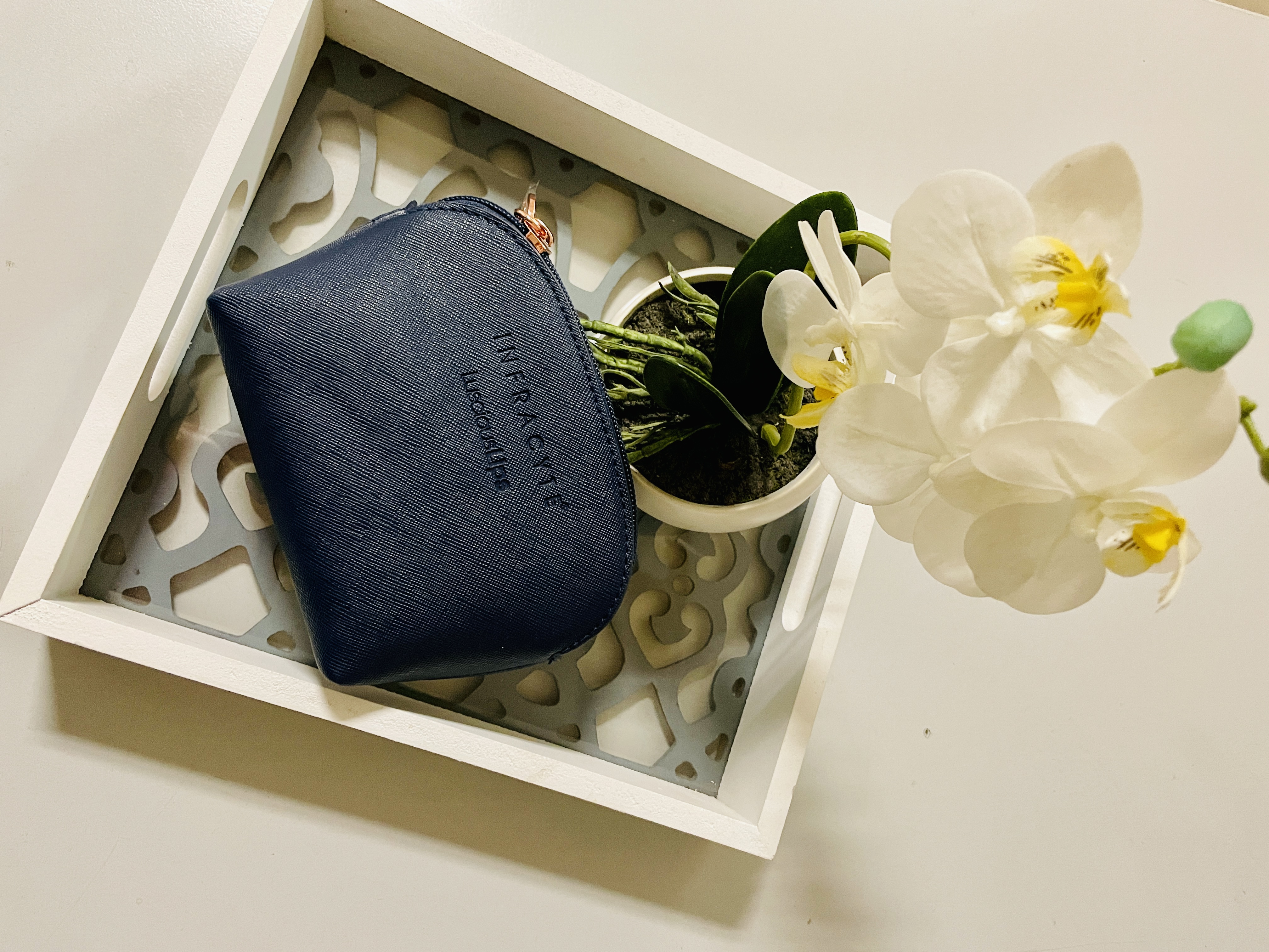 Bolsa de Belleza Labios Jugosos