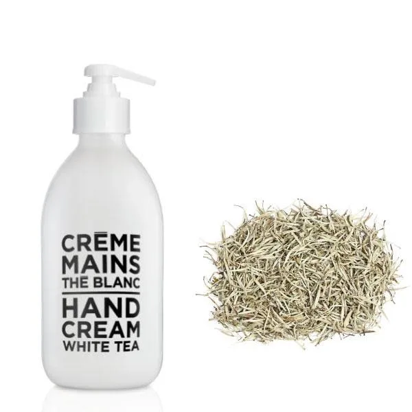 shopping-q-tbn-ANd9GcT91mzk01xtrHHQMkcCE8zwak9RmlXWOPgKIg-8VR3GedtYChH9-RCgUpdUAh04Qh2PyT4DtHvtHH83gizhTK84rbALJglg-usqp-CAE